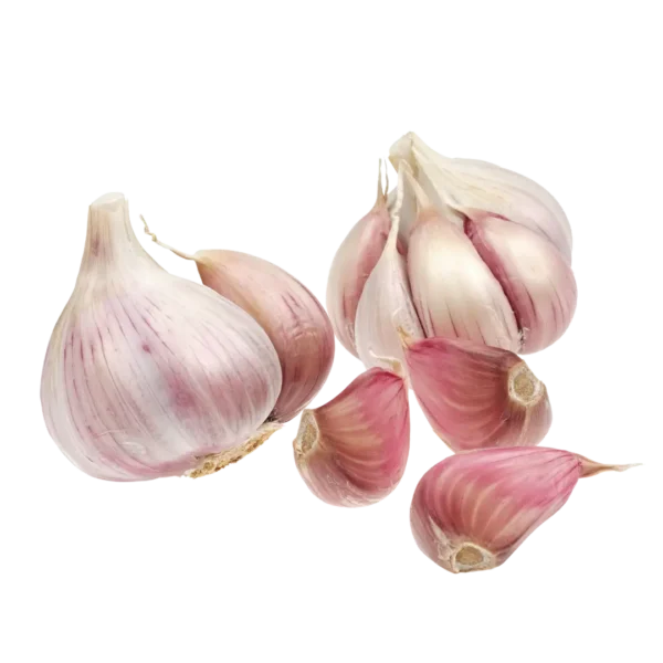 agricola-frigieri-azienda-aglio-rosa