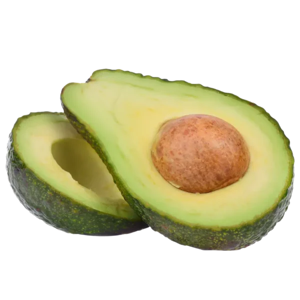 agricola-frigieri-azienda-avocado