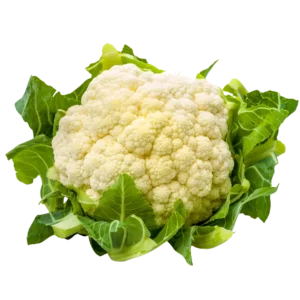 agricola-frigieri-azienda-cavolfiore