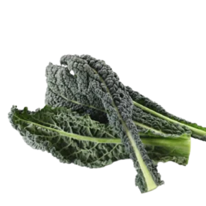 agricola-frigieri-azienda-cavolo-nero
