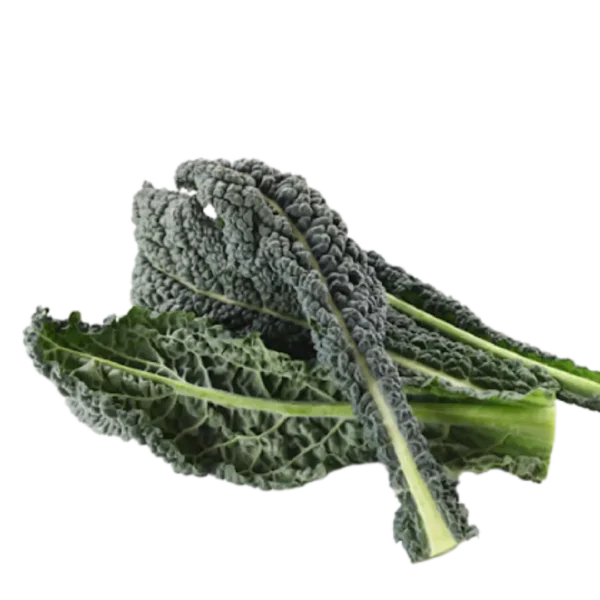 agricola-frigieri-azienda-cavolo-nero
