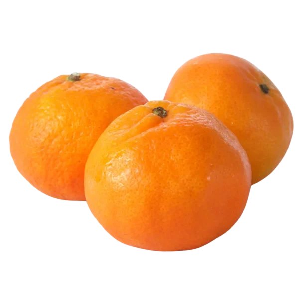 agricola-frigieri-azienda-clementine