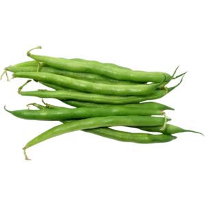 agricola-frigieri-azienda-fagiolini