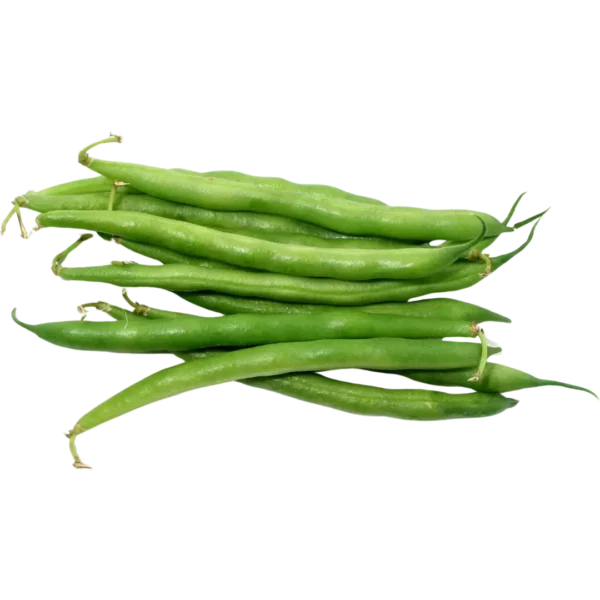 agricola-frigieri-azienda-fagiolini