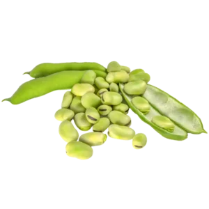 agricola-frigieri-azienda-fave-fresche