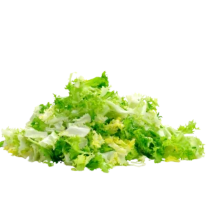 agricola-frigieri-azienda-insalata-gentile