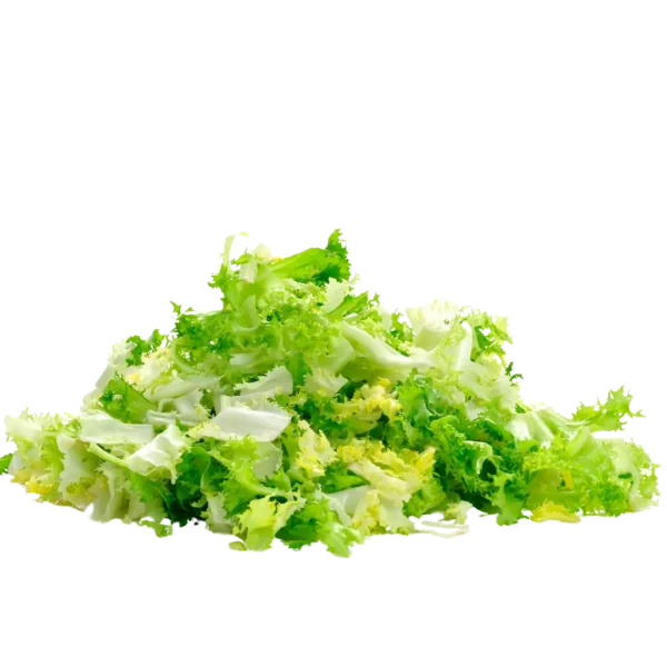 agricola-frigieri-azienda-insalata-gentile