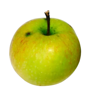agricola-frigieri-azienda-mela renetta