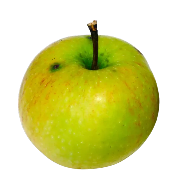agricola-frigieri-azienda-mela renetta
