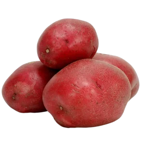 agricola-frigieri-azienda-patate-rosse