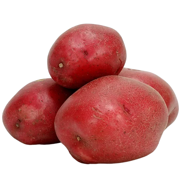 agricola-frigieri-azienda-patate-rosse