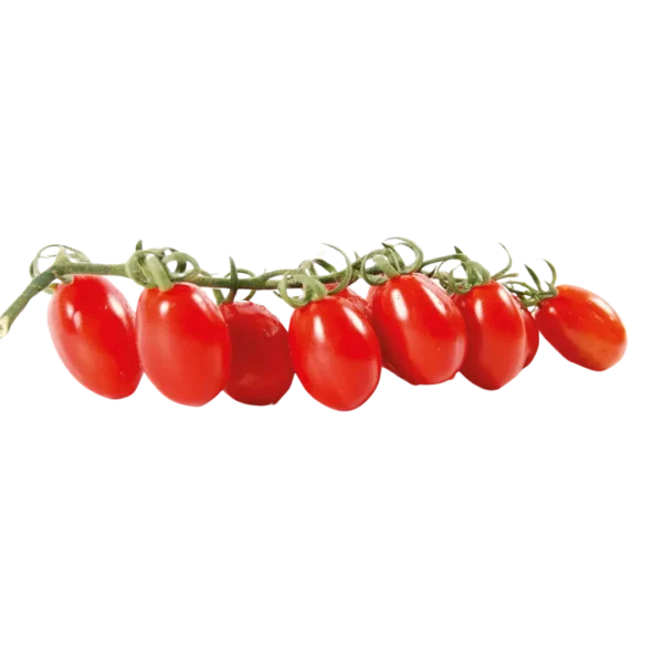 agricola-frigieri-azienda-pomodoro-datterino