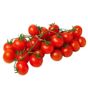 agricola-frigieri-azienda-pomodoro-grappolo