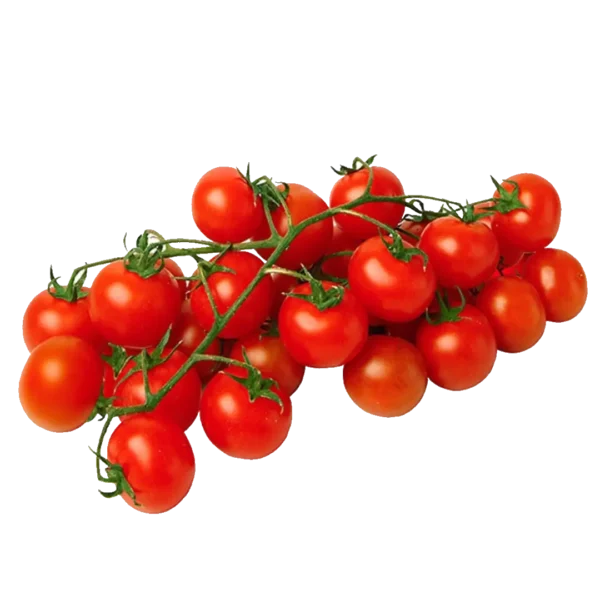 agricola-frigieri-azienda-pomodoro-grappolo