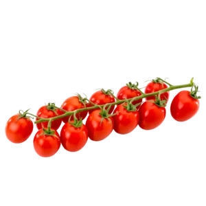 agricola-frigieri-azienda-pomodoro-torino