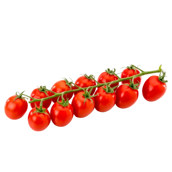 agricola-frigieri-azienda-pomodoro-torino
