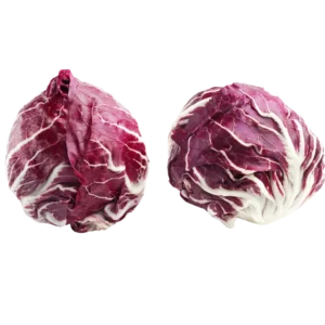 agricola-frigieri-azienda-radicchio-chioggia