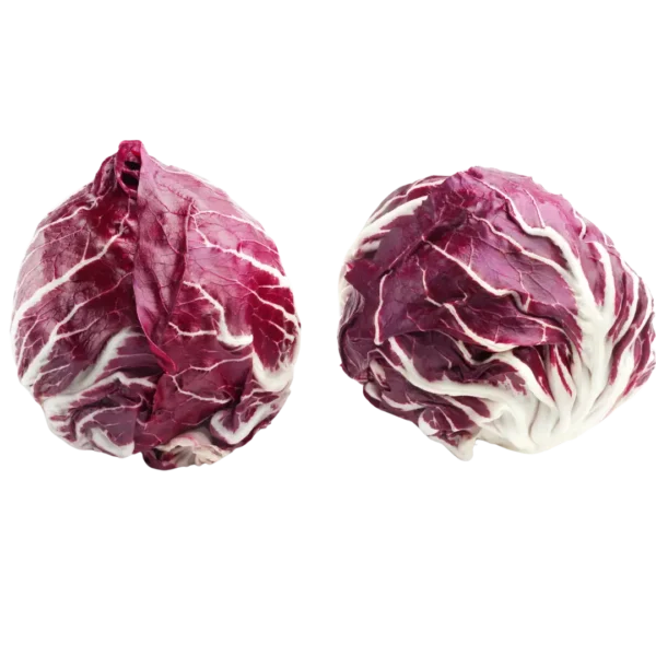 agricola-frigieri-azienda-radicchio-chioggia