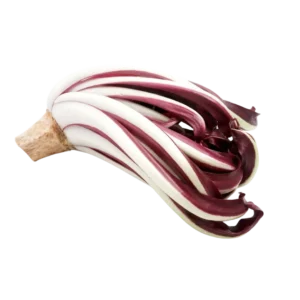agricola-frigieri-azienda-radicchio-tardivo