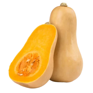 agricola-frigieri-azienda-zucca-delicata