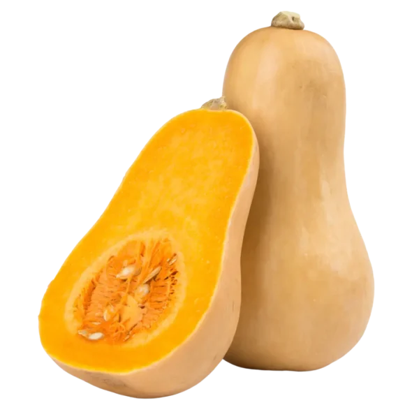 agricola-frigieri-azienda-zucca-delicata