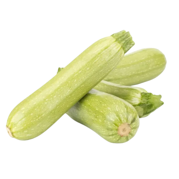 agricola-frigieri-azienda-zucchine-chiare